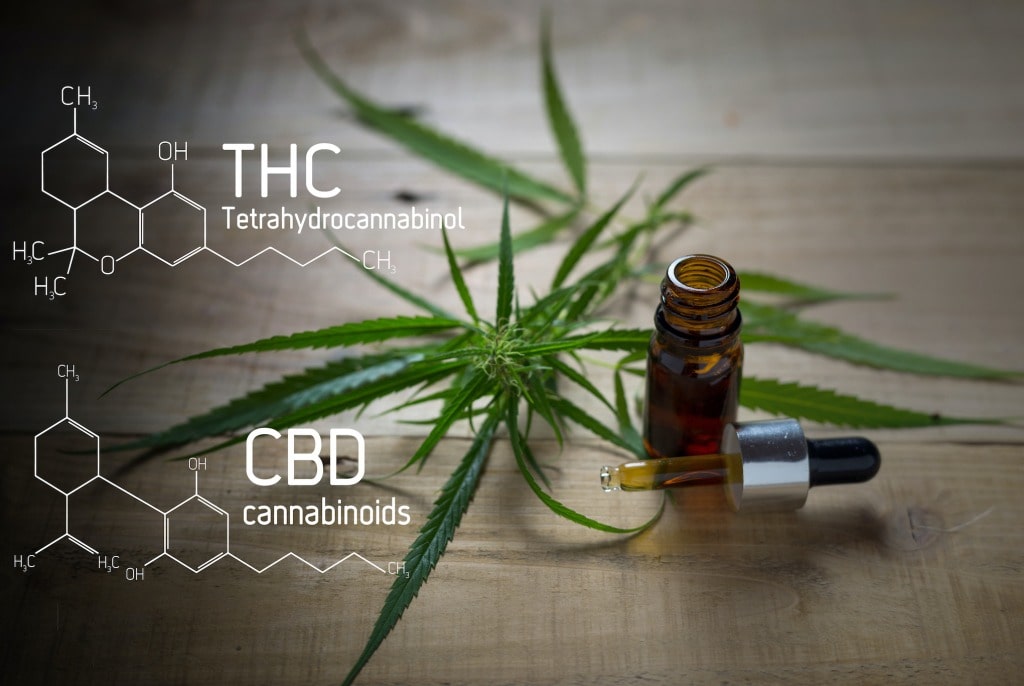 Cannabis cannabidiol CBD complements alimentaires