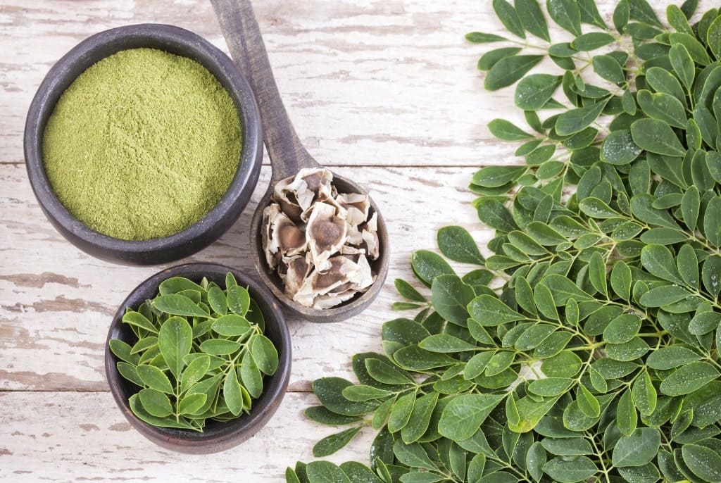 Moringa plante medicinale complement alimentaire nutrition beaute